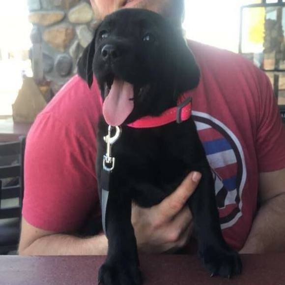 Meet your Posher, Kyle - Picture 1 of 1